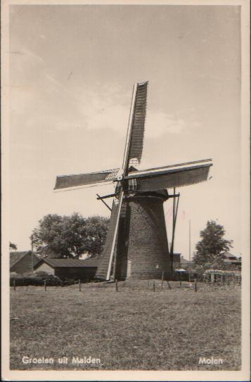 molen van Thijssen rijksweg 105 Malden De in 1878 gebouwde molen was van Th.T.Thijssen.De molen verloor in1944 door oorlogshandelingen kap en wiekenkruis. Op 27 mei 1948 werd een sloopvergunning afgegeven.In 1956 werd het binnenwerk gesloopt en in juni 1996 volgde de sloop van de romp